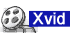 XVid